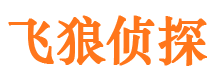 浈江市侦探调查公司